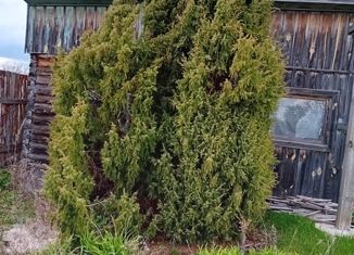 Продажа участка, 8 сот., СНТ Хохловатики