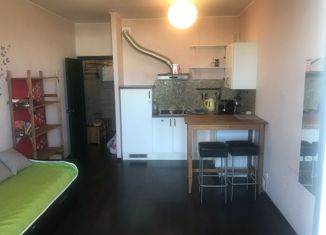 Продаю квартиру студию, 25.5 м2, Санкт-Петербург, Выборгское шоссе, 27к3, Выборгское шоссе