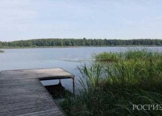 Продаю дом, 280 м2, деревня Малое Новоселье, Центральная улица