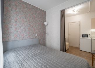 Продажа квартиры студии, 20.6 м2, Санкт-Петербург, улица Валерия Гаврилина, 13к1, метро Парнас