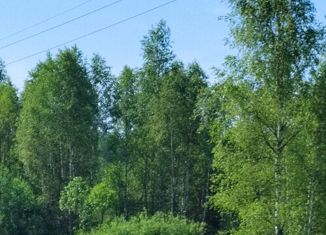 Продам участок, 2665 сот., деревня Рыльково, улица Ячевского