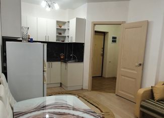 Продаю 2-ком. квартиру, 39 м2, деревня Анкудиновка, Русская улица, 7