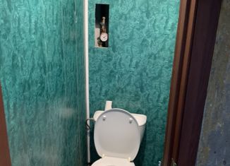 Продажа 2-комнатной квартиры, 41 м2, деревня Подобино, Центральная улица, 4