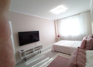 Аренда 1-комнатной квартиры, 39 м2, Сертолово, Центральная улица, 14к3