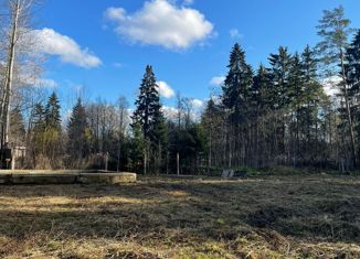 Продам участок, 15.7 сот., деревня Телези, Берёзовая улица, 14