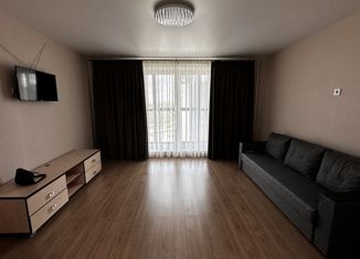 1-комнатная квартира в аренду, 40 м2, Челябинская область, Ласковая улица, 24