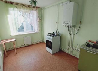 Продается однокомнатная квартира, 30.5 м2, Боровичи, улица Александра Невского, 74