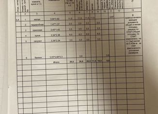 Продаю 1-ком. квартиру, 26 м2, село Актаныш, проспект Мира, 35