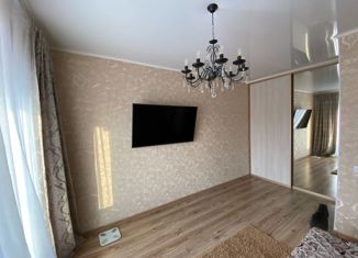 Продам 1-комнатную квартиру, 31.3 м2, село Нежинка, Александровская улица, 5