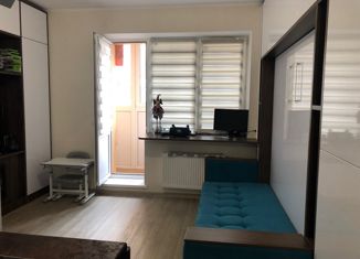 Квартира на продажу студия, 26 м2, посёлок Мирный, улица Свободы, 4