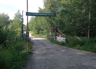 Дом на продажу, 42 м2, садовое товарищество Шелухово, сектор А, 75