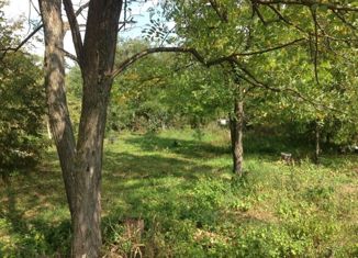 Участок на продажу, 100 сот., посёлок Ясная Поляна