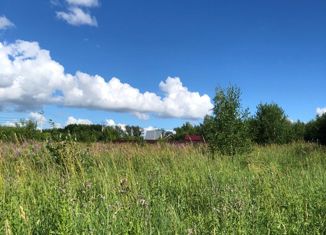 Продам земельный участок, 10 сот., деревня Борисовское