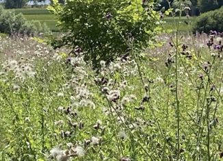 Продается участок, 1083 сот., поселок городского типа Каменка, улица 25 Октября, 30