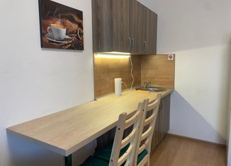 Продается квартира студия, 24.1 м2, Мурино, улица Шувалова, 23, ЖК Гринландия-2