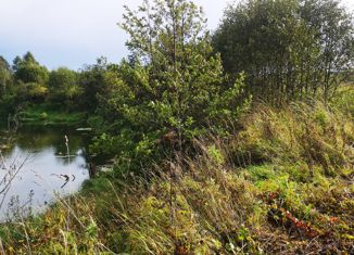 Продам участок, 25 сот., деревня Дорино