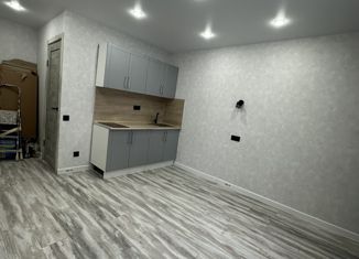 Продажа квартиры студии, 18 м2, Татарстан, улица Аделя Кутуя, 8