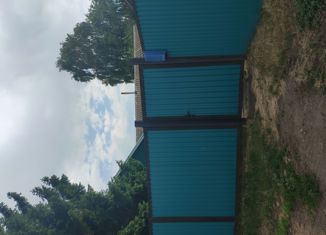 Продам дом, 48.9 м2, село Раевский, Мясной переулок, 1