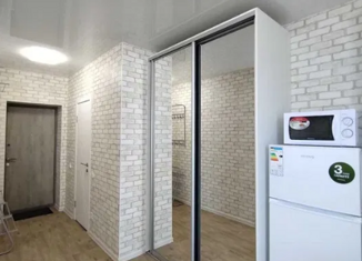 Продам квартиру студию, 20.4 м2, посёлок Российский, улица Заводовского, 14