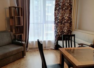 Продается квартира студия, 22.8 м2, посёлок Парголово, Толубеевский проезд, 8к2