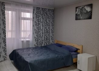 1-комнатная квартира в аренду, 30 м2, Алтайский край, Павловский тракт, 299