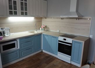 2-ком. квартира на продажу, 61 м2, посёлок Садовый, Ладожская улица, 1