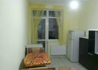 Сдается двухкомнатная квартира, 65 м2, Екатеринбург, улица Евгения Савкова, 4