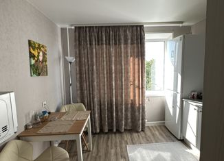 Продам 1-ком. квартиру, 35 м2, Нижний Новгород, улица Профинтерна, 15, метро Заречная