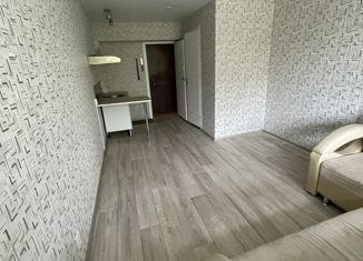 Квартира на продажу студия, 18.7 м2, Пермь, улица Малкова, 18, Дзержинский район