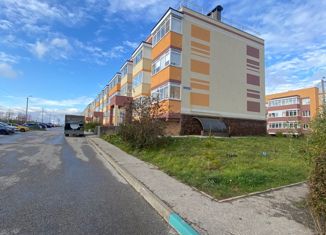 Продаю однокомнатную квартиру, 38 м2, сельский посёлок Новинки, ЖК Окский Берег, Богородская улица, 8