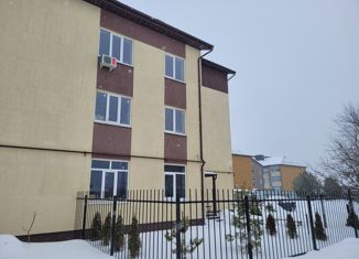 Продам 2-ком. квартиру, 59.1 м2, село Толмачево, Совхозная улица, 11А