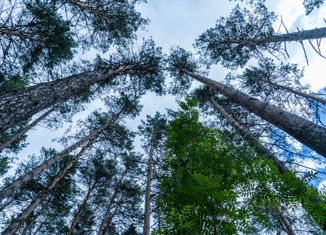 Продается дом, 120 м2, дачный посёлок Кудряшовский, Прохладная улица, 22