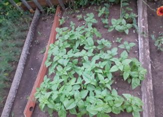 2-ком. квартира на продажу, 40 м2, Альметьевск, улица Чехова, 23А