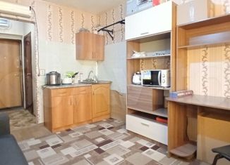 Продажа квартиры студии, 17.6 м2, Новгородская область, Новолучанская улица, 26