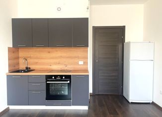 Квартира на продажу студия, 24.2 м2, Санкт-Петербург, Октябрьская набережная, 34к4, метро Елизаровская