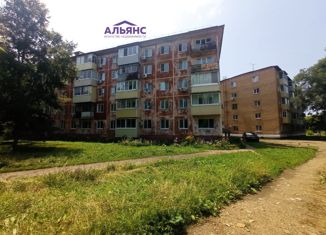 Продается двухкомнатная квартира, 42.6 м2, Арсеньев, Калининская улица, 14А