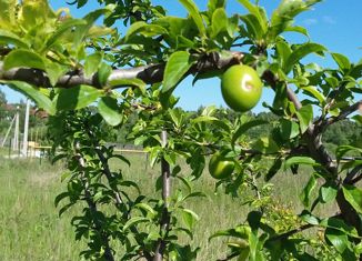 Продажа участка, 12 сот., деревня Александровка, Школьная улица