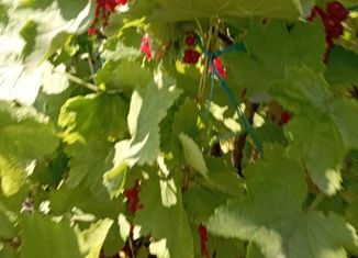 Продам дом, 48 м2, Ульяновск, Заволжский район, СТ Дубрава, 66