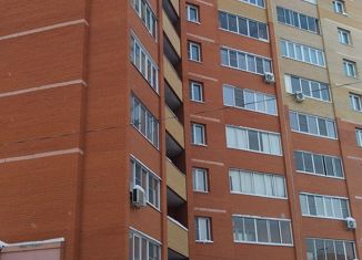 Продается 2-комнатная квартира, 80 м2, Рязань, улица Новосёлов, 56к1, ЖК Орион