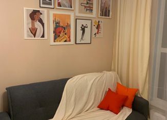 Квартира в аренду студия, 23 м2, Мурино, улица Шоссе в Лаврики, 63, ЖК Муринское-1