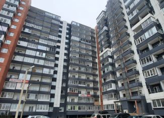 Продажа квартиры студии, 24.7 м2, Великие Луки, улица Гоголя, 15