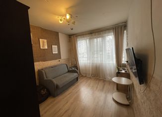 Продается 1-комнатная квартира, 32.1 м2, Санкт-Петербург, Серебристый бульвар, 28к1, метро Пионерская