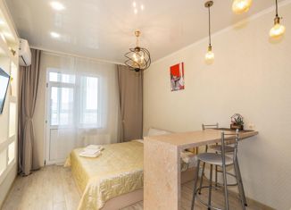 Квартира на продажу студия, 19.5 м2, Ростов-на-Дону, улица Нансена, 83к2, ЖК Скай Парк