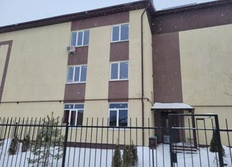 Двухкомнатная квартира на продажу, 58.6 м2, село Толмачево, Совхозная улица, 11А