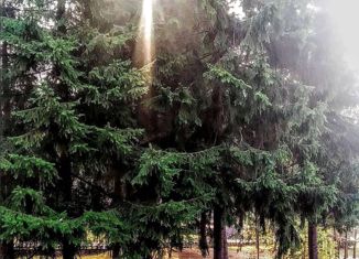 Продам участок, 6 сот., деревня Чепелёво, Сетевая улица