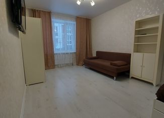 1-комнатная квартира в аренду, 30 м2, село Новое Шигалеево, улица Габдуллы Тукая, 43