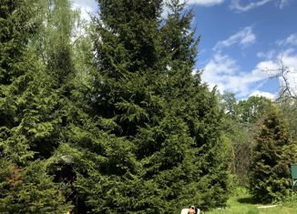 Дом на продажу, 250 м2, деревня Антоновка, деревня Антоновка, 22