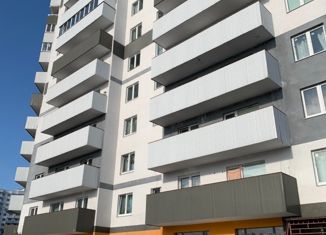 Продаю квартиру студию, 29 м2, посёлок Парголово, Тихоокеанская улица, 14к2