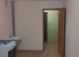 Аренда 1-комнатной квартиры, 37 м2, посёлок Щедрино, Каштановая улица