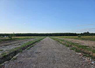 Продается участок, 8.22 сот., деревня Васильево, деревня Васильево, 17